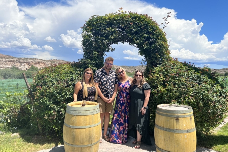 Cata de vinos en los viñedos del Valle Verde