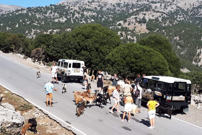 Stalida: Matala Agiofarago Gorge Day Tour