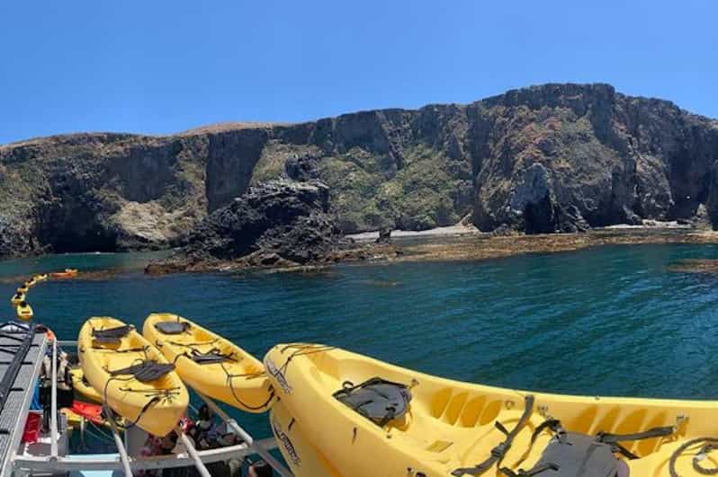 Oxnard Anacapa Island Sea Cave Kayaking Tagestour GetYourGuide