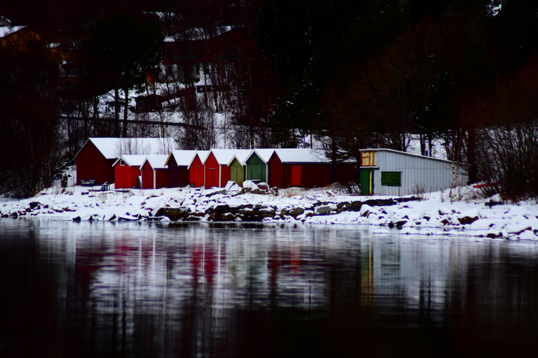 Abisko: Passeio turístico e fotográfico pelo fiorde.Abisko: Excursão fotográfica e de observação dos fiordes.