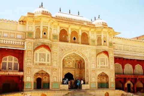 Från New Delhi: Privat dagsutflykt till Jaipur med lokal guide