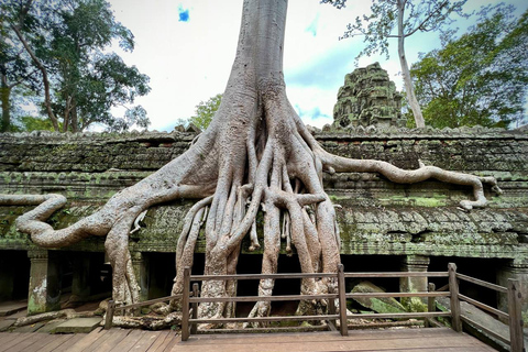 1-daagse privégroep van Angkor Wat Tour met alleen Tuk Tuk1-daagse privégroep van Angkor Wat Tour met Tuk Tuk