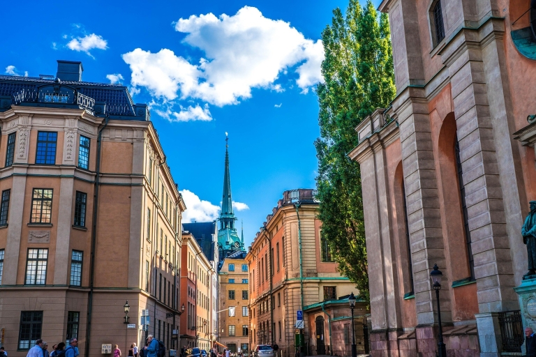 Stockholm : Visite guidée à pied de l'art et de la culture avec un habitant