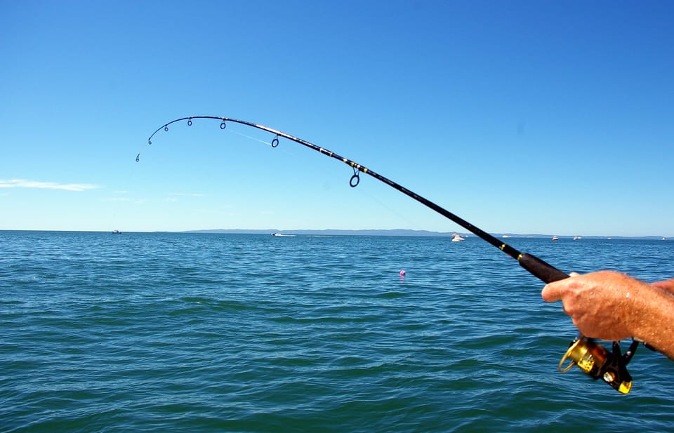 服装钓鱼站– Fishing Station