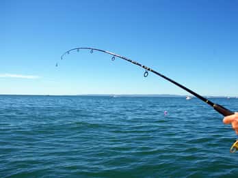 Kos: Fishing Trip Experience with a Greek Fisherman's Family