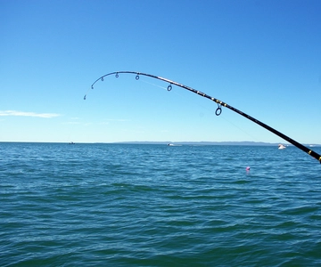 Kos: Fishing Trip Experience with a Greek Fisherman's Family