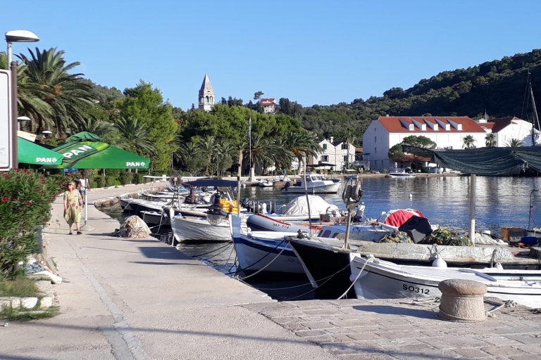 Dubrovnik: Excursión privada en barco por las islas ElaphitiExcursión privada en barco por las islas Elaphiti de Dubrovnik - Día completo