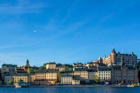 Stockholm: begeleide wandeltocht door de stad met een localStockholm: stadswandeling met hoogtepunten