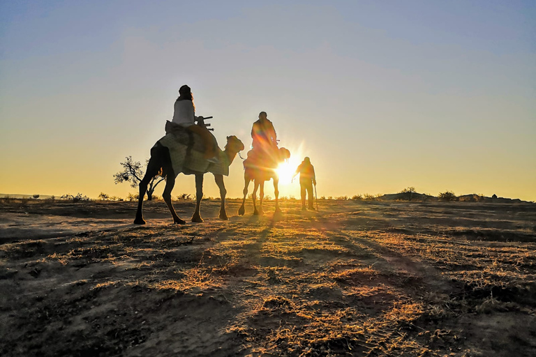 Cappadocia: Valleys Highlights Camel Tour with Hotel Pickup İn Day Time Camel Tour