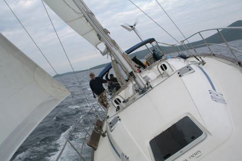 Vrsar: Daily Sailing, Sightseeing, Dolphin Watching
