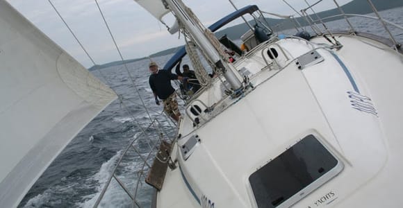 Vrsar: Delfinbeobachtung und Sightseeing Private Tageskreuzfahrt