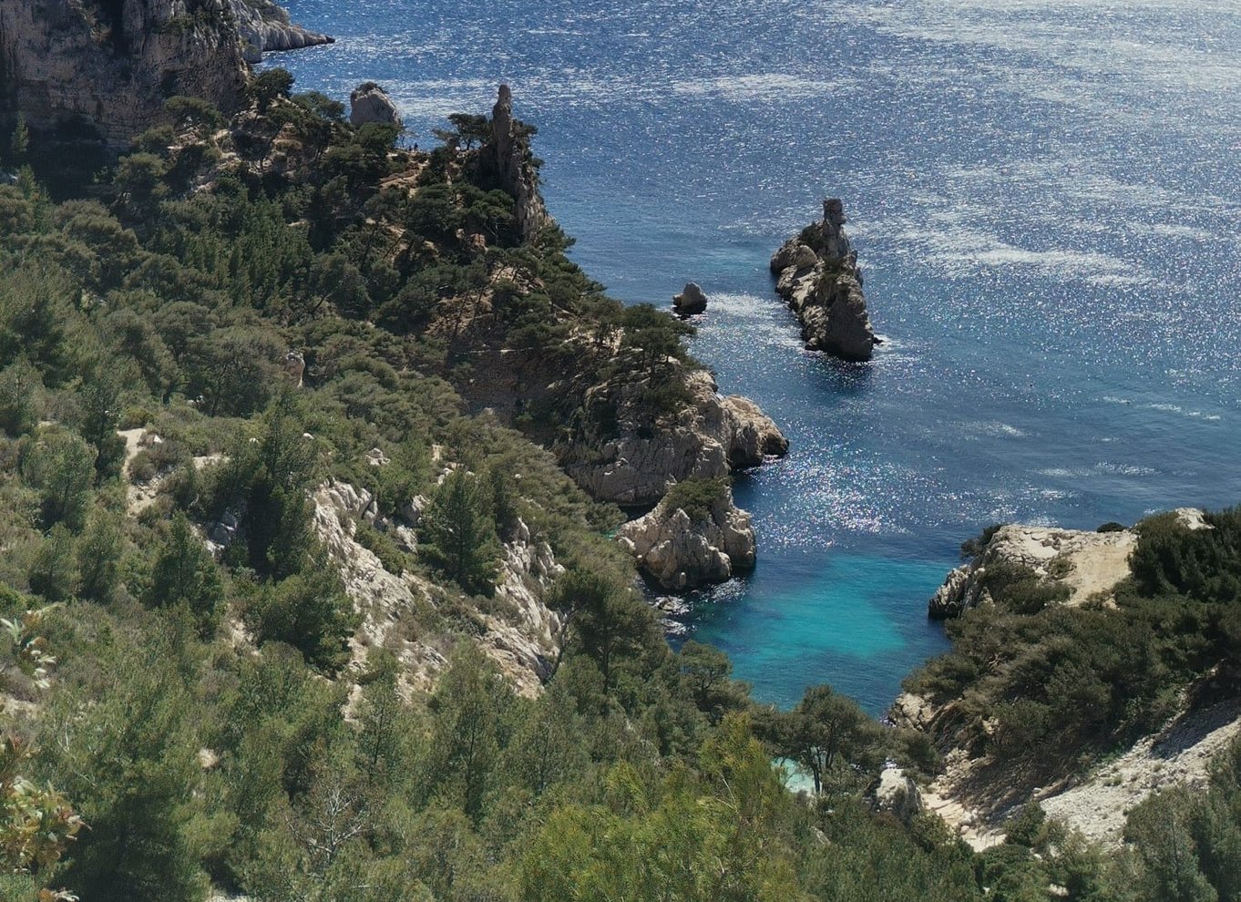 Marseille: Guidet vandretur i Calanques Nationalpark med picnic