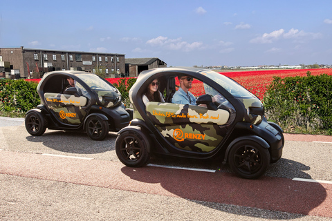 Lisse: Visite audio GPS des champs de tulipes en voiture