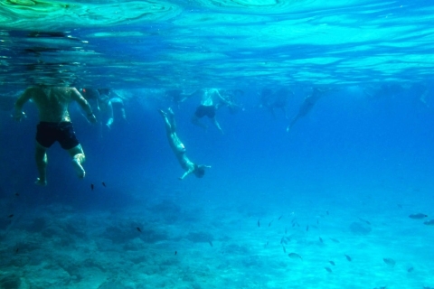 Paphos: dierentuinbezoek & Blue Lagoon-cruise met lokale gids