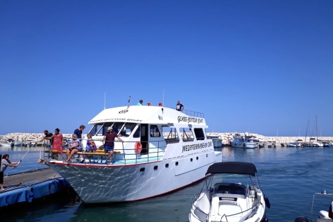 Paphos: dierentuinbezoek & Blue Lagoon-cruise met lokale gids