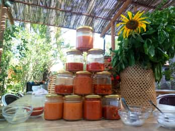 Ländliches Leben erleben: Mojo-Workshop und botanischer Spaziergang