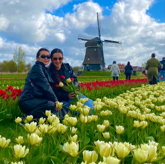 Au départ d'Amsterdam Visite des champs de tulipes et des moulins à