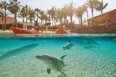 Dubai: Atlantis Dolphin Kayak Experience