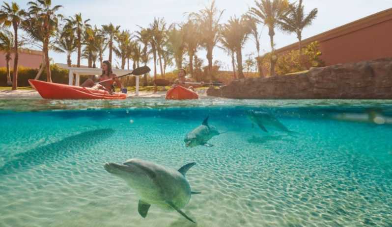 Дубай: путешествие на каяках Atlantis Dolphin с парком Aquaventure