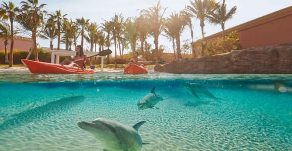 Dubai: Aquaventure World Waterpark Day Pass & Dolphin Kayak
