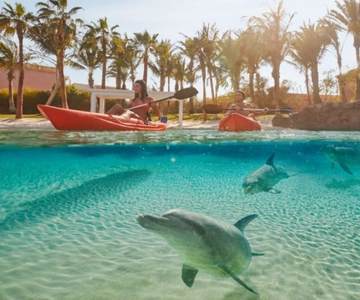 Dubai: Atlantis Dolphin Kayak Trip & Aquaventure Waterpark