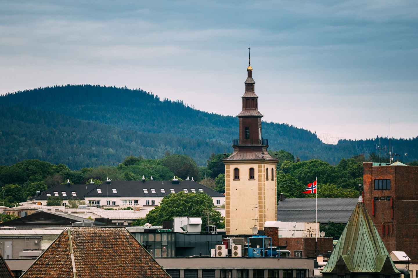 オスロ現地ガイドと60分間の速攻散歩