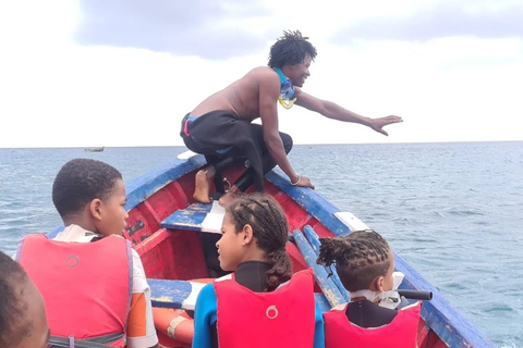 Mindelo: Experiência com tartarugas marinhas