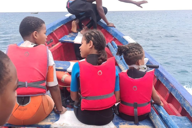 Mindelo: Experiência com tartarugas marinhas