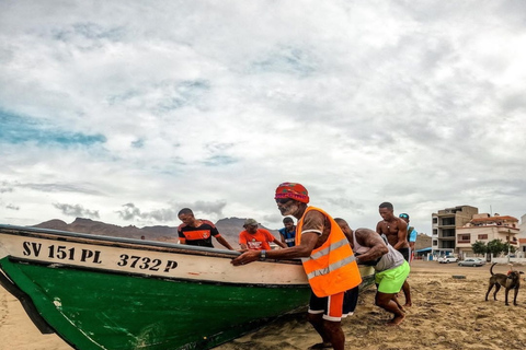 Mindelo: Experiência com tartarugas marinhas