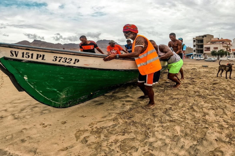 Mindelo: Experiência com tartarugas marinhas