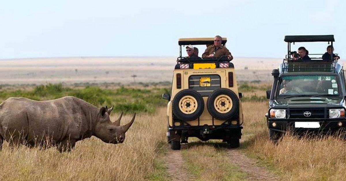 3 Dniowe Safari Jeepem 4x4 W Parku Narodowym Lake Nakuru Getyourguide