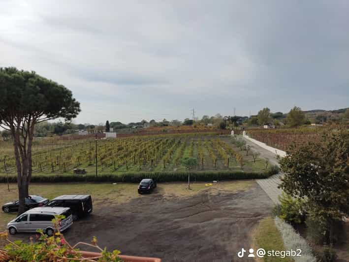 Tour Di Un Giorno Pompei Hurclenum Degustazione Di Vini Getyourguide