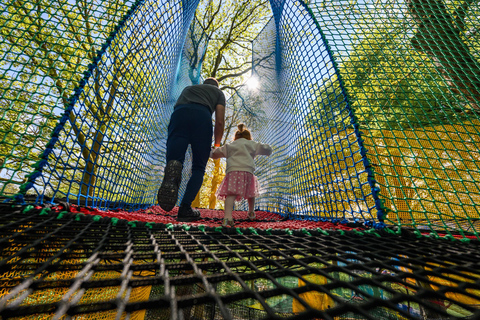 Windermere: Treetop bouncy nets (Treetop Nets)