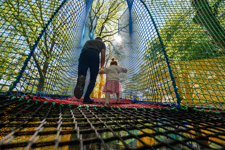Windermere: Treetop bouncy nets (Treetop Nets)