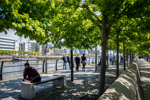 Dublín: Visita a la Historia de la Hambruna Irlandesa en el Tall Ship Jeanie JohnstonDublín: historia de emigrantes en el velero Jeanie Johnston