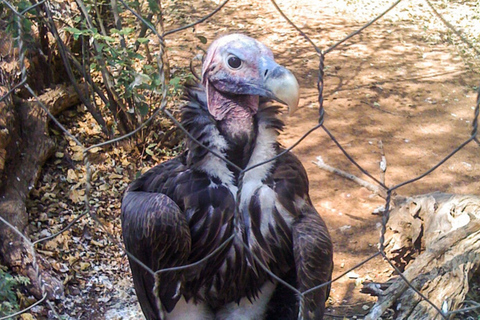 Around Gaborone Adventure