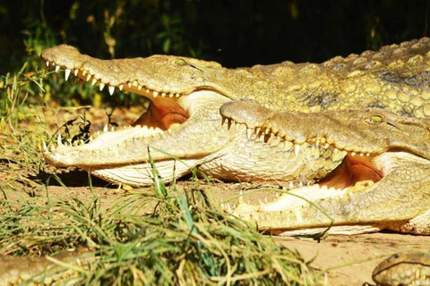 Around Gaborone Adventure