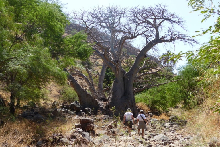 Wandeling naar de oudste baobabboom / endemische vogelKleine groep voor reizigers op cruiseschepen