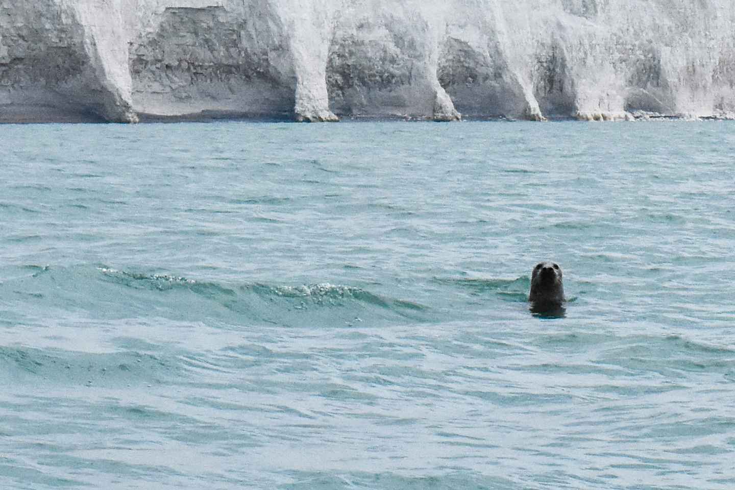 Desde Brighton: Tour en Barco por las Siete Hermanas