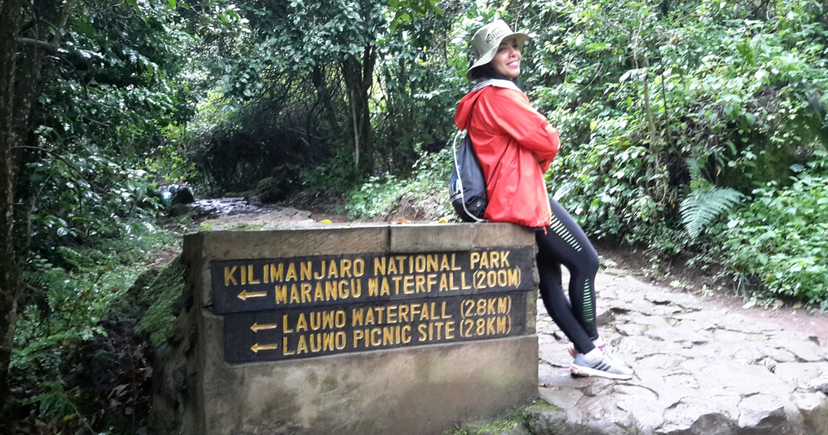 Mount Kilimanjaro Day Trip GetYourGuide