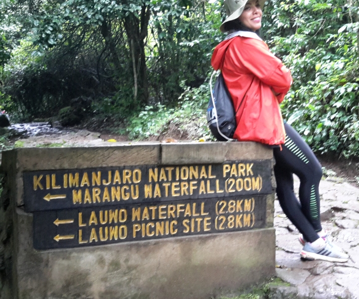 Excursion d'une journée au Mont Kilimandjaro