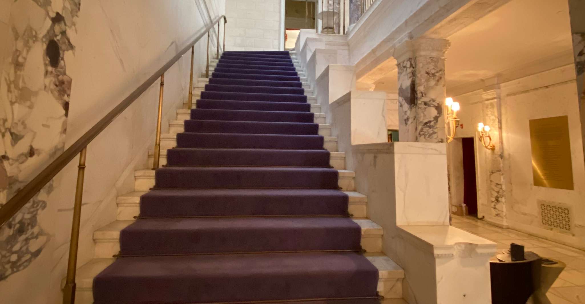 NYC, Gilded Age Mansions Tour guidato - Hizvo