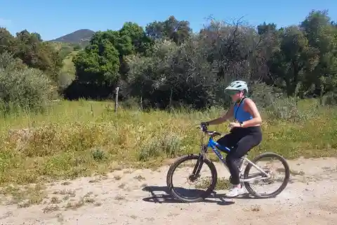 Ensenada: Customizable and Private Guided Shore Excursion