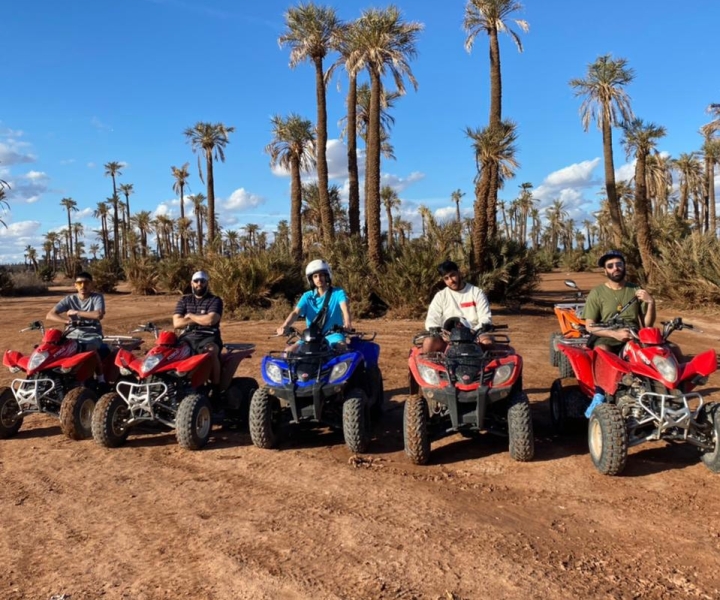 マラケシュ：パーム オアシスとジラット砂漠へのクワッド バイク ツアー