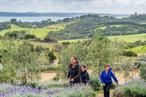 Île Waiheke : Vignoble de première qualité, dégustation de vin et promenade dans le bushÎle Waiheke : Vignobles et promenade dans la brousse