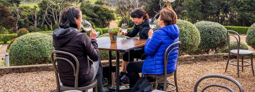 Île Waiheke : Vignoble de première qualité, dégustation de vin et promenade dans le bush