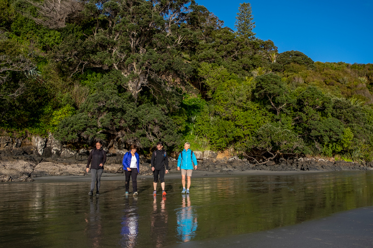 Waiheke Island: Skog och strand: Guidad promenad i premiumklassWaiheke Island: Skog och strand - guidad promenad