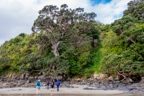 Waiheke Island: Skog och strand: Guidad promenad i premiumklassWaiheke Island: Skog och strand - guidad promenad