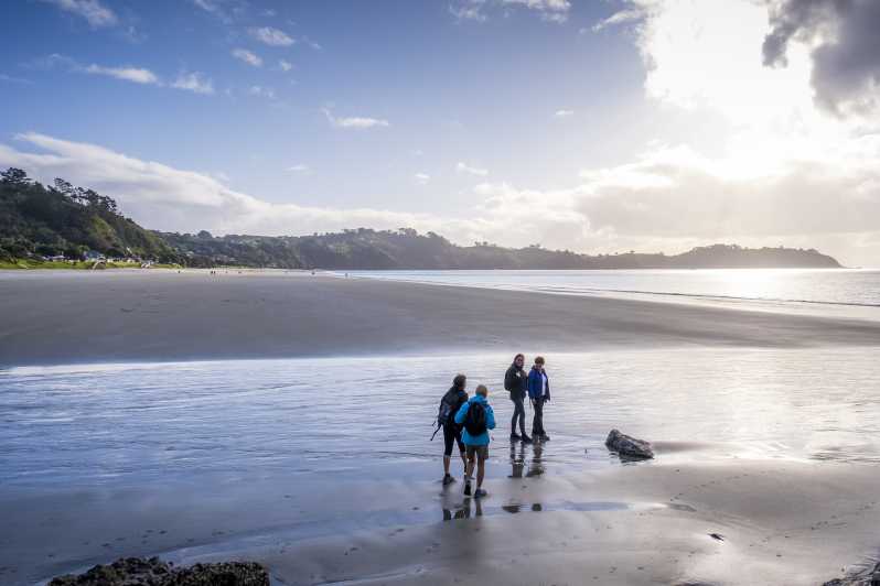Waiheke Island: Forest and Beach Premium Guided Walk
