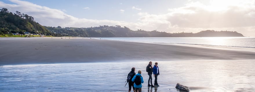 Île Waiheke : Promenade guidée de première qualité dans la forêt et sur la plage